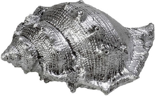 Decorative Tabletop Seashell Polyresin Silver Espiel Assort 7.5x4.5x4cm Mt2736k6 Set 6 Pieces Material Polyresin Silver Espiel Mt2736k6