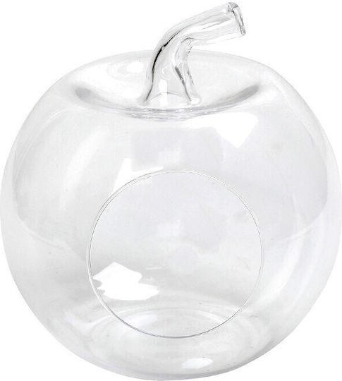 Set Glass Apple Glass 23x27cm Packaging 2 Pieces