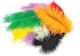 Next Feathers Φτερά Χειροτεχνίας Σετ 12τμχ