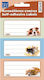 Next Pets Notebook Labels 8.5x4cm 30 Pieces