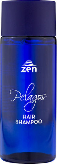 Shampoo Hotel Amenities 50ml in Package 250Stück