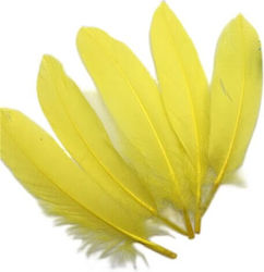 Pene Decorative Galbene 15-20cm 8 Bucăți 28-02 Pene Decorative Galbene 15-20cm 8 Bucăți 28-02