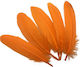 Decorative Orange Feathers 15-20cm 8 Pieces 28-03