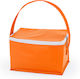 Insulated Bag Handbag 3 liters