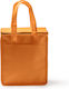 Insulated Bag Handbag