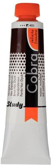 Royal Talens Cobra Study Set Ölfarben Braun 40ml 1Stück 38844403