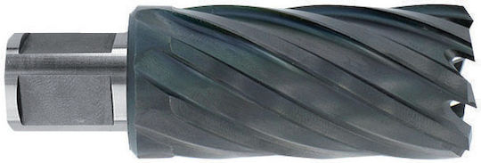 1037011 Hss-tialn Carrot Weldon Coada 3/4'' Lungime 50 Mm Dim 27.0 Mm
