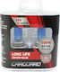 Set 1 Set 2 Halogen H4 Bulbs + 100% Intensity Long Life Carguard