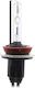 Xenon Bulb H8-4.3k Carguard