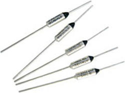 Thermal Slow-Blow Fuse 10A