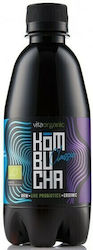 ORGANIC Bio Kombucha
