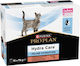 Pro Plan Pro Plan Nasses Katzenfutter in Beutel mit Lachs 10x75g
