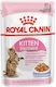 Royal Canin Sterilised Kitten Υγρή Τροφή για Ανήλικες Γάτες σε Φακελάκι 12x85gr