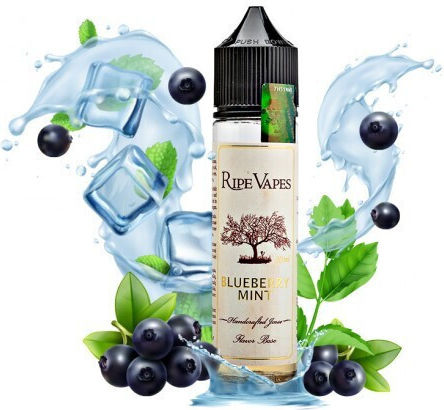 Ripe Vapes Flavor Shot Blueberry 20ml/60ml 1pcs Blueberry Mint