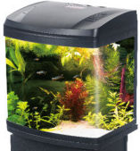 Fish Aquarium Capacity 20L with Lighting Filter 31x19.5x32cm Black