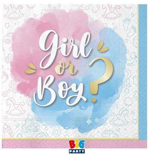 Party Napkins Food 25cm Gender Reveal 20 Pieces Boy Girl