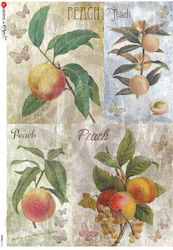 Hârtie De Orez Decupaj 32x45cm Food-0114