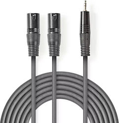 Nedis 2 x XLR male - 3.5mm male COTH15310