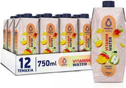 Minoa Water Βιταμινούχο Νερό 12x750ml Minoa Water Βιταμινούχο Νερό 12x750ml