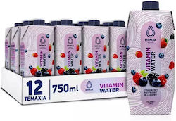 Minoa Water Βιταμινούχο Νερό 12x750ml Minoa Water Βιταμινούχο Νερό 12x750ml