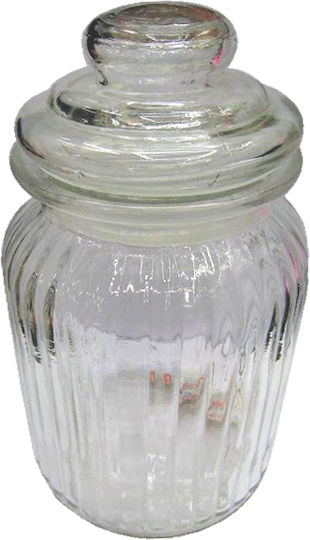AGC Set of 2 General Use Glass Jars with Lid Transparent 11x11x22.5cm Pieces