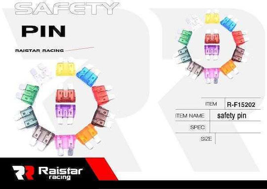 Raistar Set Car Blade Fuses 10 Pieces 180664