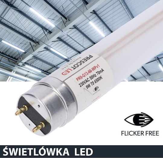 Prescot LED-Lampe 9W Röhrenform 60εκ. für Fassung G13 und Form T8 Kühles Weiß