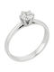 Nire Single Stone