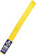 Rage Martial Arts Belt Yellow