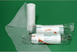 Bastos Viegas Bandage 10cm x 10m