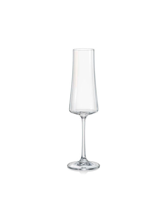 Bormioli Rocco Set Gläser Likör/Ouzo / Champagner aus Glas Mit Stiel 210ml 6Stück