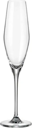 Bohemia Set of Glasses Champagne made of Crystal Stemmed 210ml 6pcs