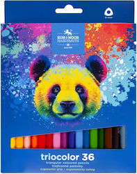 Triocolor Bären Buntstifte 36 Farben