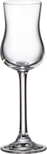 XM-Casa Set of Glasses Liqueur/Ouzo made of Crystal 85ml 6pcs