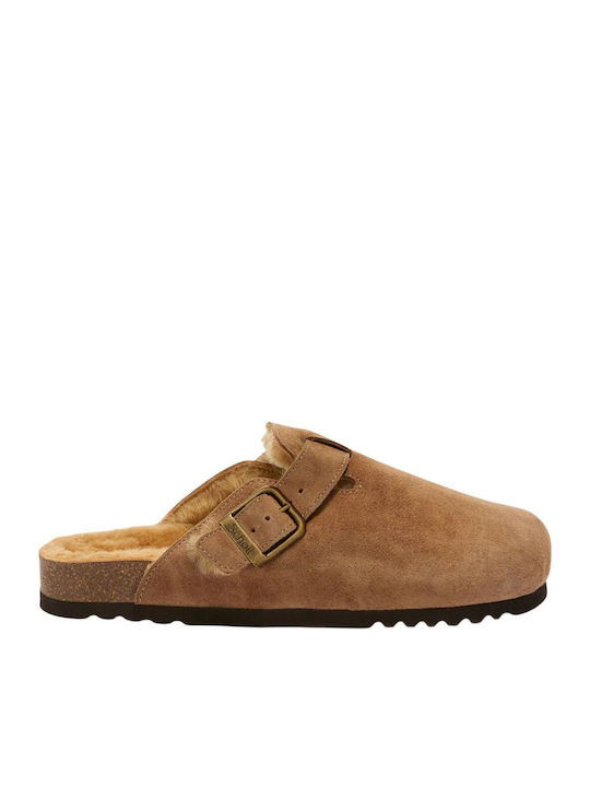 Scholl