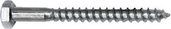 Goizper Coach Screw Galvanized DIN 571 with Length 10mm