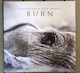 Lisa Gerrard & Jules Maxwell Burn Vinyl