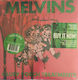 Melvins Gluey Porch Treatments Vinyl