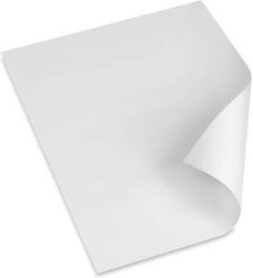 Rice Paper 10kg
