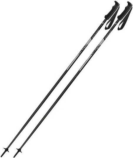 Fizan Aluminium Ski-Stöcke Paar Storm Grau