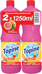 Topine Χλωρίνη σε Gel 2x1.25lt Topine Χλωρίνη σε Gel 2x1.25lt