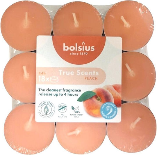 Bolsius Ρεσώ True Scents Αρωματικό σε Πορτοκαλί Xρώμα (έως 4 Ώρες Καύσης) 18τμχ