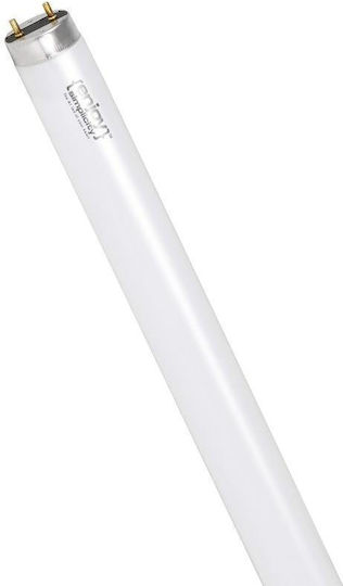 El150301 T8 3 Phosphor 30W G13 4000K 2400lm 909mm Fluorescent Lamp Pack of 25 Pieces