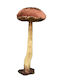 Xmas Agaricus Brocade Mushroom Foam Velvet Dusty Pink 33x33x81cm C479813