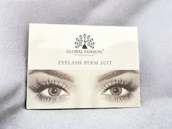 Set Composition Lamination Global Fashion