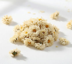Getrocknete Chrysantheme Blume Ivory 30g