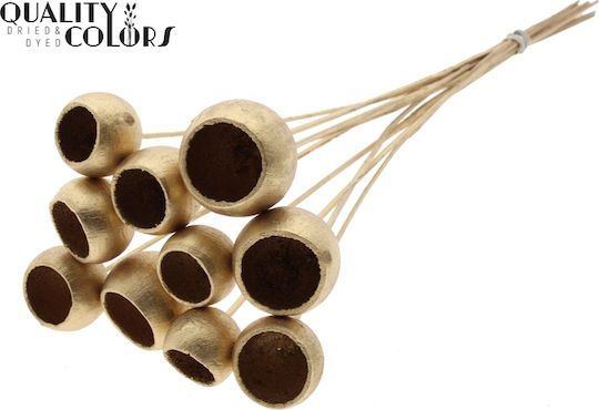 Bell Cup Gold 45cm 1 Piece