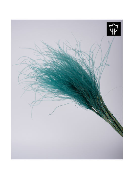 Stypha Penata Τιρκουάζ 65cm 1τμχ