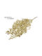Fankon Flowers Ruscus Gold 70cm 1 Stück