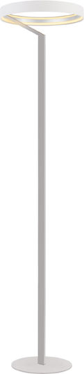 Aca LED Stehleuchte H170xB38.5cm. mit Warmweißem Licht 2150lm Weiß